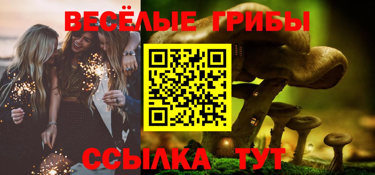 Ахтубинск  Галлюциногенные грибы Psilocybine cubensis  Вход с VPN 