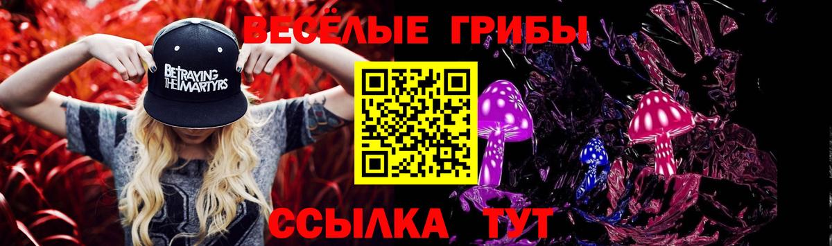 Галлюциногенные грибы Psilocybine cubensis Ахтубинск